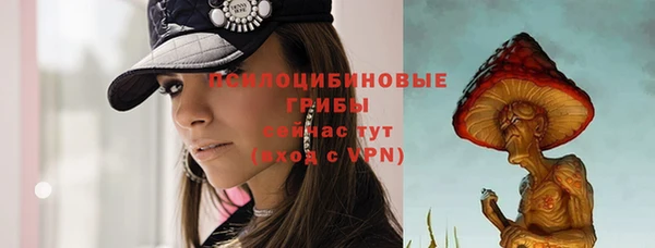 меф Приозерск